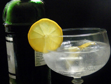 Un buen gin tonic para tomar en compañía